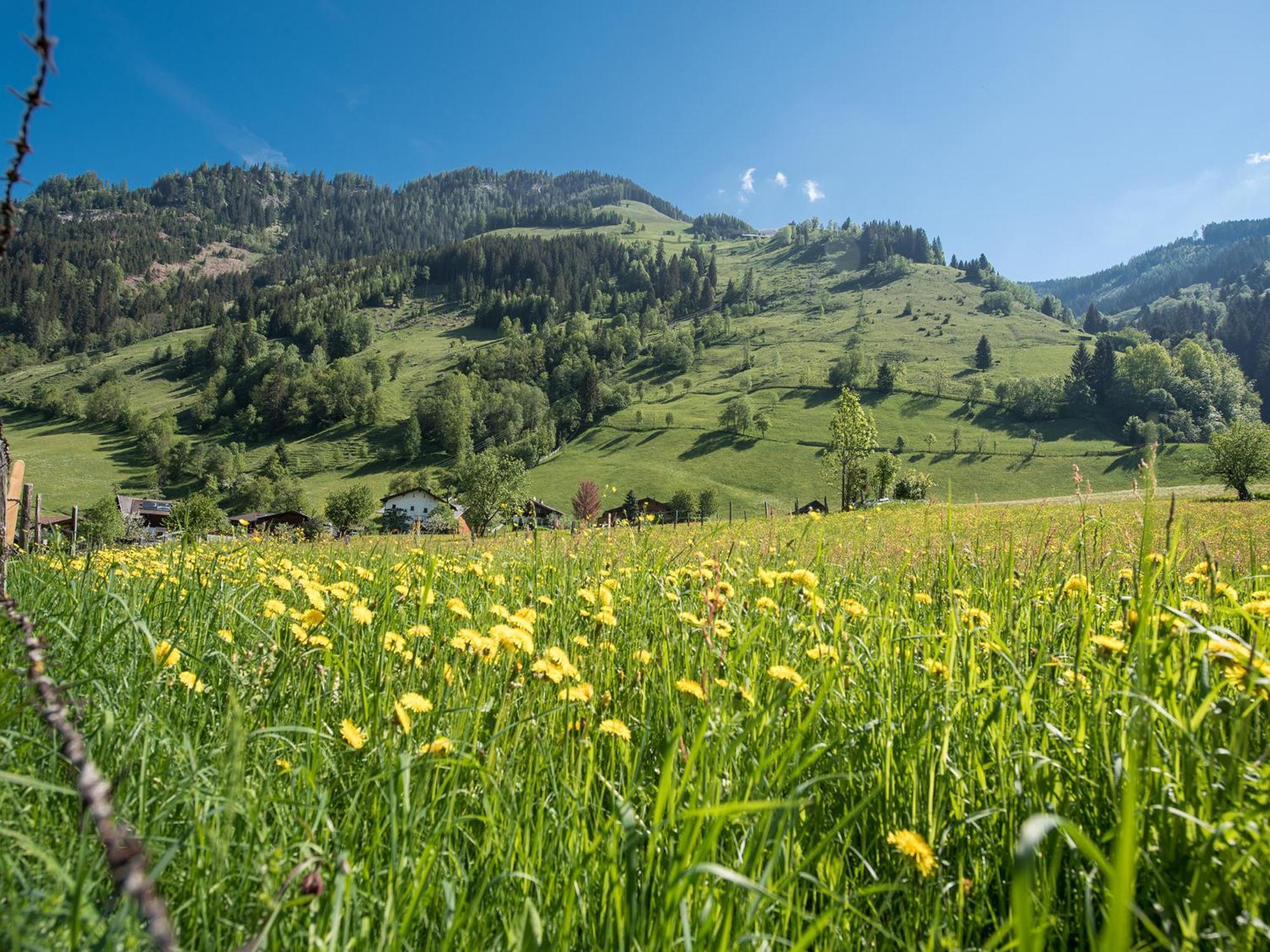 Appartement-Pension Fahrnberggut Rauris Luaran gambar