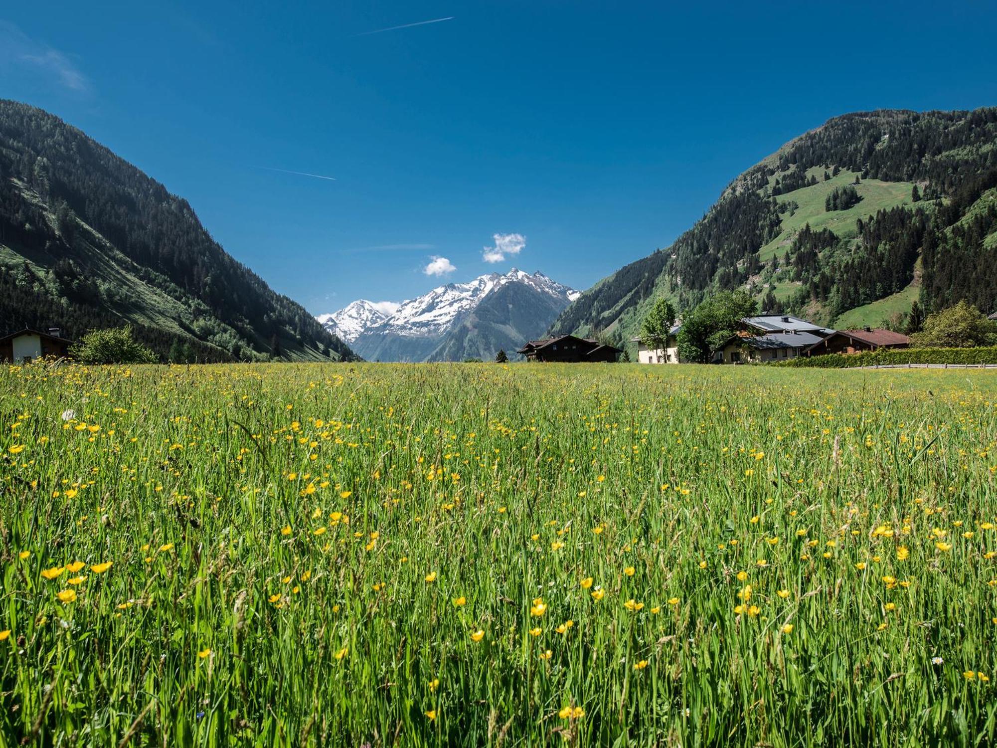 Appartement-Pension Fahrnberggut Rauris Luaran gambar